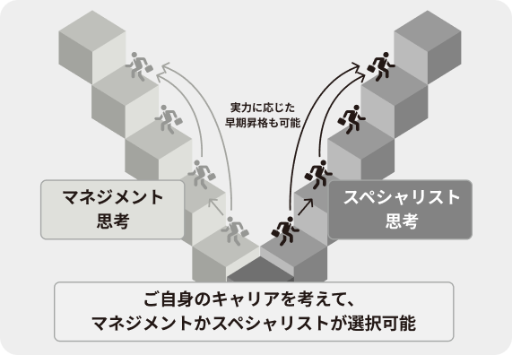 等級・報酬制度